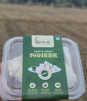 Paneer